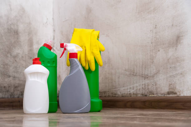 Best Black Mold Removal  in Grants Pass, OR